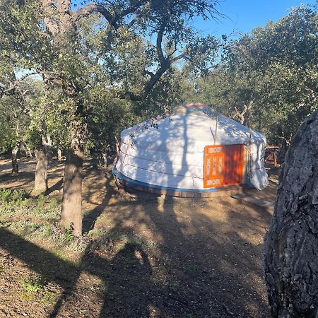 Au Soleil Mongol Bed & Breakfast Sorède Eksteriør bilde